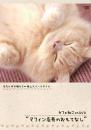 カフェねこonDVD マフィン店長のおもてなし