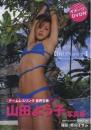 山田よう子DVD付写真集