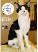 にゃんこう通信 vol.1