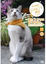 にゃんこう通信 vol.2