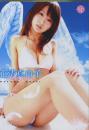 SWINUTION 花清真由子