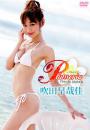 Plumeria 吹田早哉佳