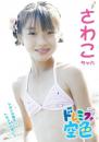 ドレミファ空色vol.15 さわこちゃん