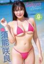 Sakura Bloom 須能咲良ジャケット
