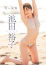甘い記憶 池田裕子