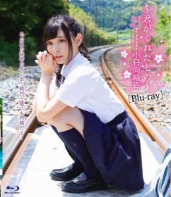 ～君のくれたもの～ 小日向結衣 Blu-ray版[GRAVB-0033]