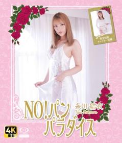 NO!パン パラダイス 糸川結衣 Blu-ray版 2026/04/17日発売[NW-013B]