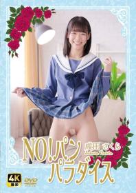 NO!パン パラダイス 成田さくら 2026/04/17日発売[NW-014]