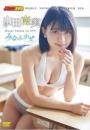 WEEKLY YOUNG JUMP PREMIUM DVD 山田南実 みなみかぜジャケット