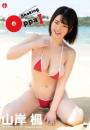 Shaking OppaI 山岸楓ジャケット