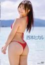 ヒカルのヒップは僕のもの 西本ヒカル 2026/07/24日発売