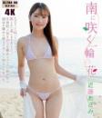 南に咲く一輪の花 近藤あさみ 4K ULTRA HD Blu-ray版
