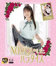 NO!パン パラダイス 皐月めい Blu-ray版 2025/09/19日発売[NW-001B]
