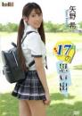 17の思い出 矢野希