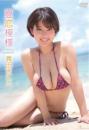 夏恋模様 真田まことジャケット