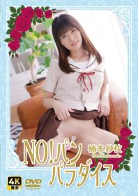 NO!パン パラダイス/楠本紗枝 2025/10/17日発売[NW-002]