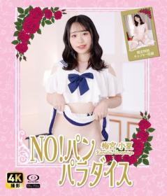 NO!パン パラダイス 梅宮小夏 Blu-ray版 2025/11/14日発売[NW-004B]